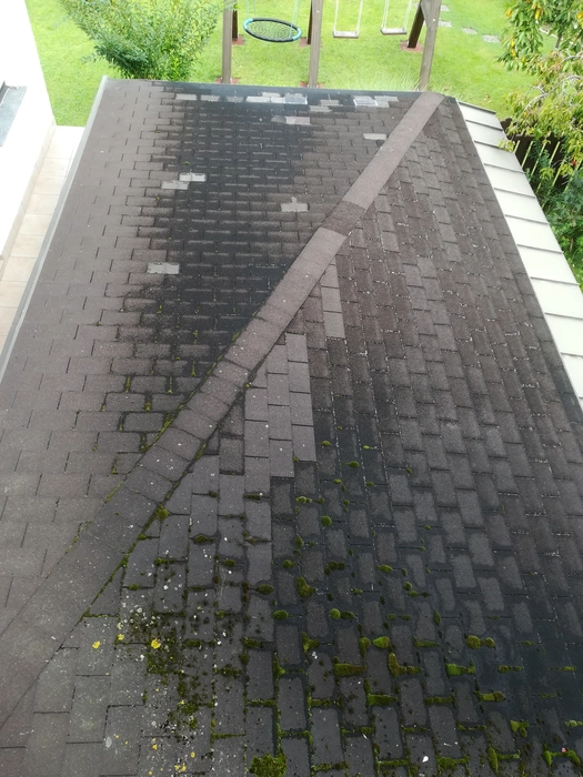 Ein Dach mit erheblichem Mooswachstum und Verfärbungen, was auf mögliche Feuchtigkeitsprobleme hinweist.