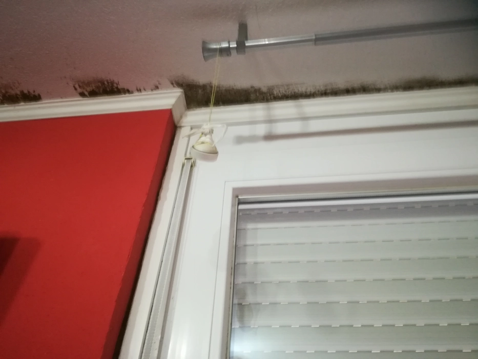 Schwarzer Schimmelwachstum neben Fenster an roter Wand weist auf ein Feuchtigkeitsproblem hin.