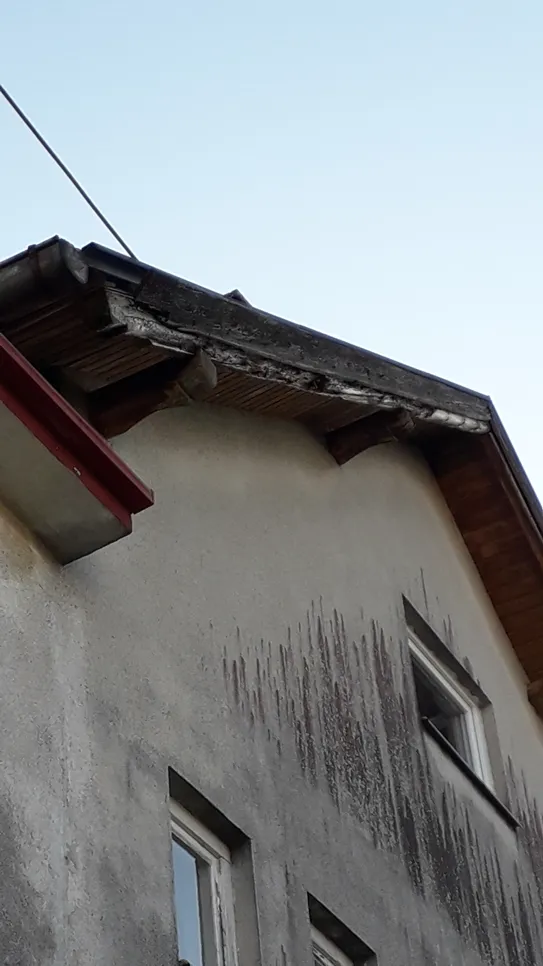 Schimmelwachstum an der außenwand des hauses Sichtbare Schimmelflecken an einer Außenwand des Hauses unter dem Dach, die auf Feuchtigkeitsprobleme und mögliche Wasserschäden hinweisen.